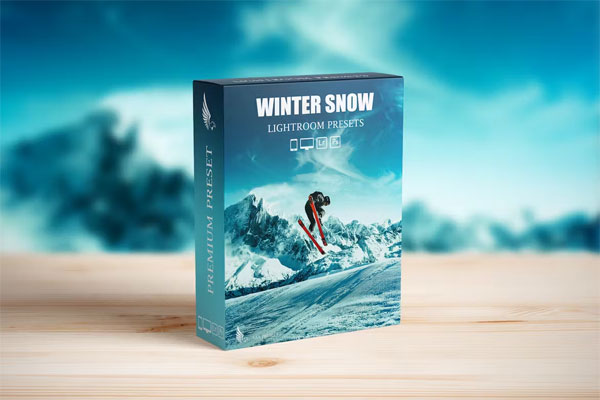 Snow and Winter Presets For Lightroom