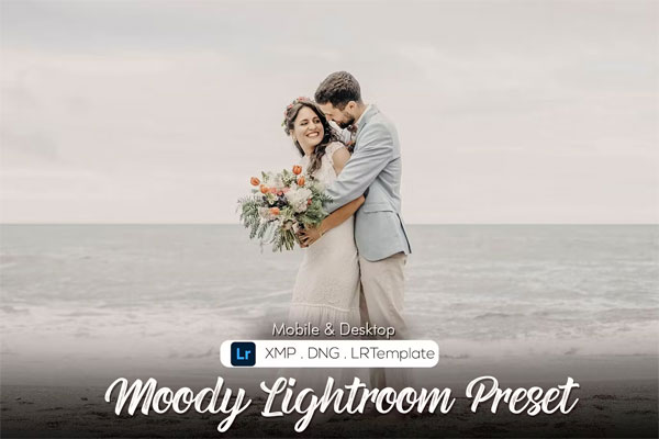 15 Moody Lightroom Presets