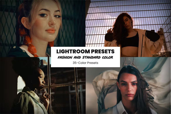 Fashion and Standard Color Presets