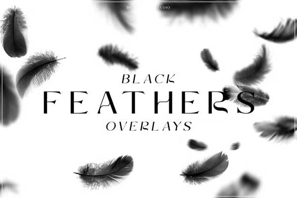 15 Black Feathers Overlays