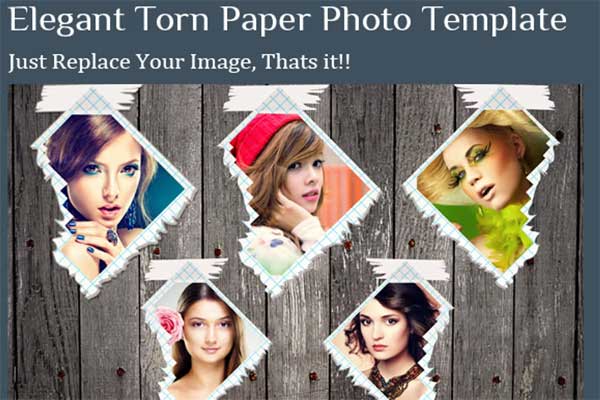Elegant Torn Paper Photo Frame