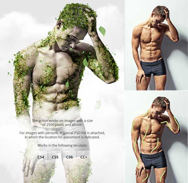 Moss Photoshop Action