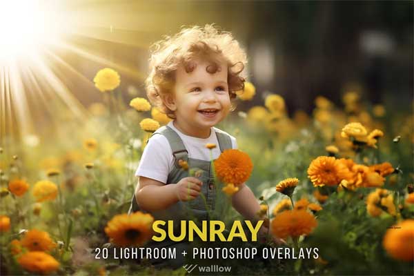 Sunlight Photo Overlays PNG And JPG