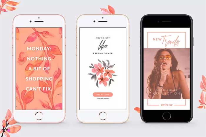 3 Pink Lovely Blush Flyer Instagram Stories Template