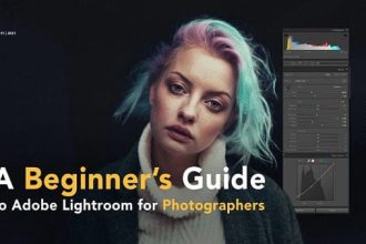 A Beginners Guide To Lightroom For Photographers