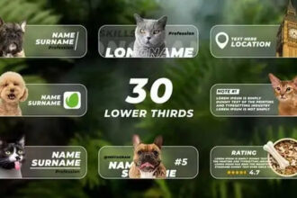 Lower Thirds with Photo or Video After Effects Template