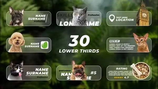 Lower Thirds with Photo or Video After Effects Template